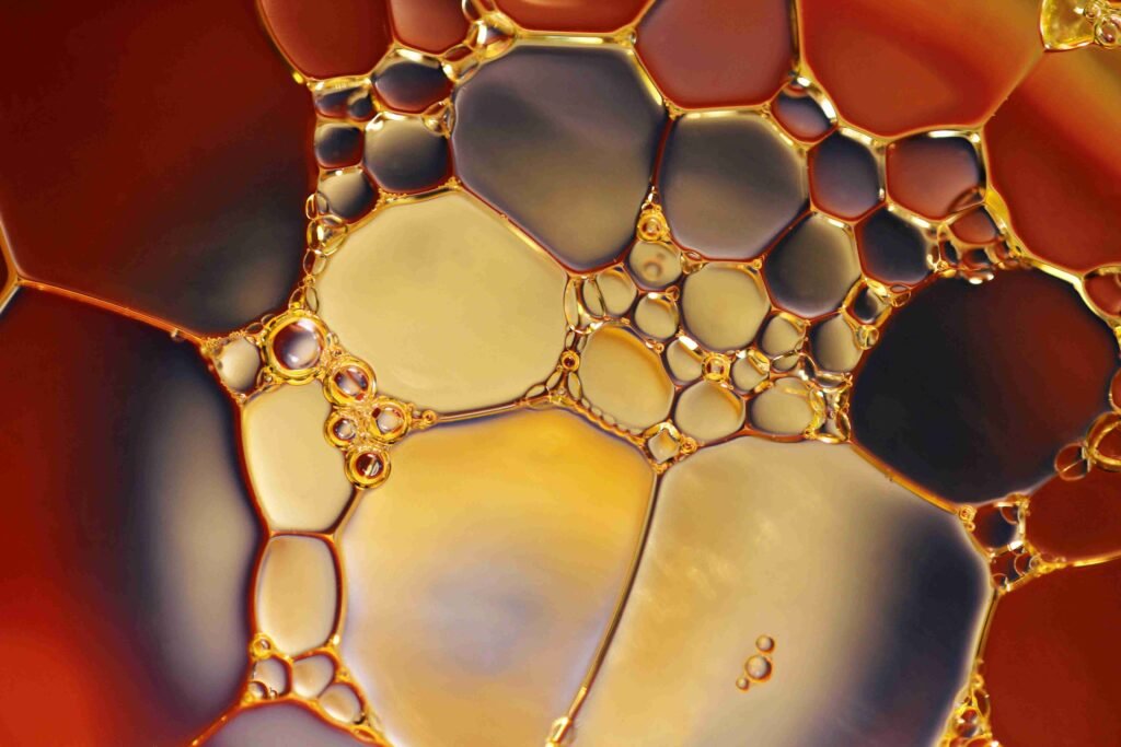 Best Practices for Commercial Fryer Oil Disposal